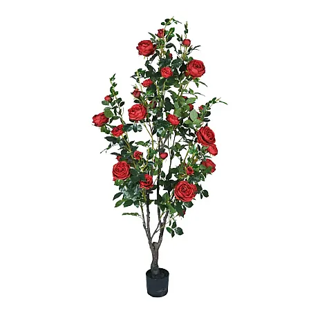 images/uploads/22248/thumb_22056 web.webp